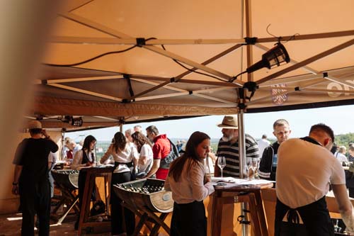 Festival vína VOC Znojmo